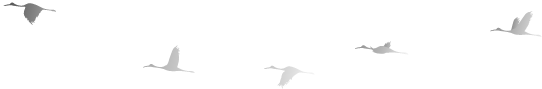mmexport1492075860494.png